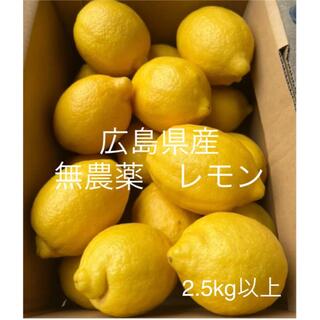 国産　レモン　広島県産　無農薬　レモン　瀬戸内レモン　2.5kg以上  産地直送(フルーツ)
