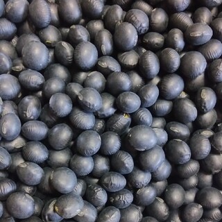 北海道産　黒豆　１kg(米/穀物)