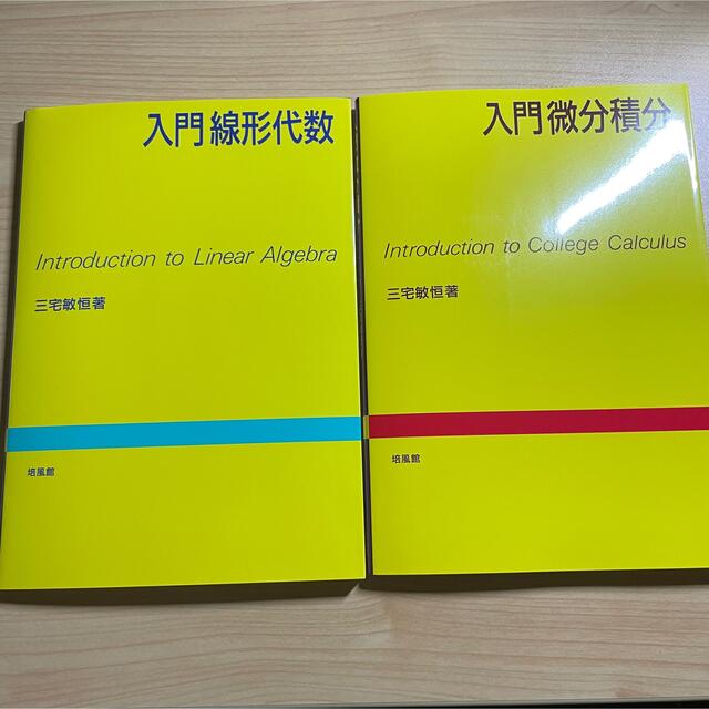 【在庫処分】 入門微分積分