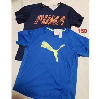 プーマ(PUMA)の新品 150 プーマ PUMA 男の子 キッズ 半袖Tシャツ ドライ スポーツ(Tシャツ/カットソー)