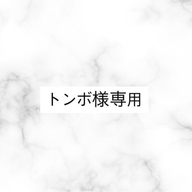 トンボ様専用 その他のその他(その他)の商品写真