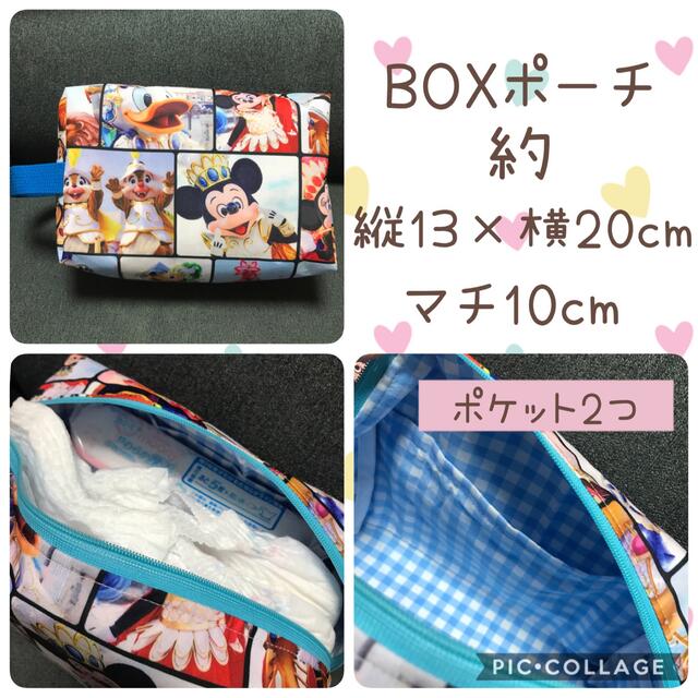 ドナルド★BOXポーチ見本★