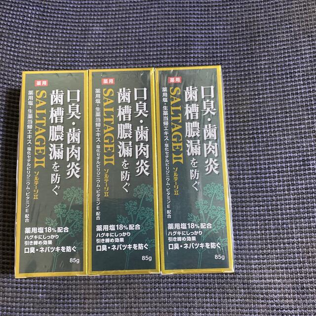 歯磨き粉 ソルテージ 薬用歯磨き粉 ○送料無料○ chateauduroi.co