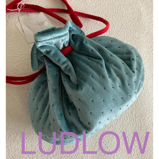 ラドロー(LUDLOW)の極美品　タグ付き　LUDLOW 巾着バッグ　２２０００円　ラドロー(ハンドバッグ)