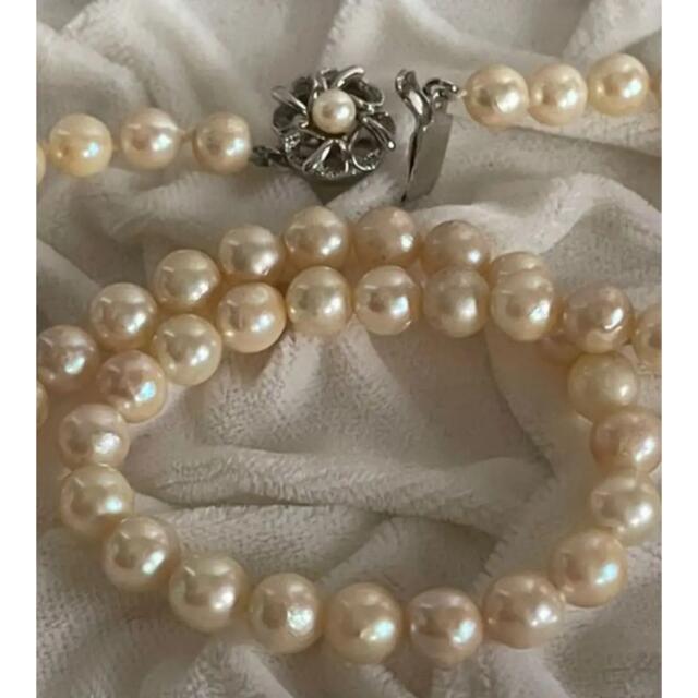未使用 ベリテ あこや真珠ネックレス ピアス silver