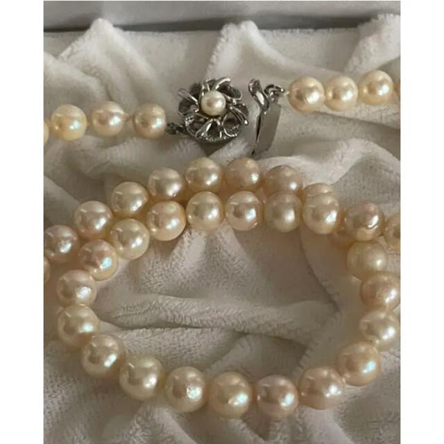 未使用 ベリテ あこや真珠ネックレス ピアス silver