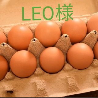 LEO様専用　平飼いたまご60個(野菜)