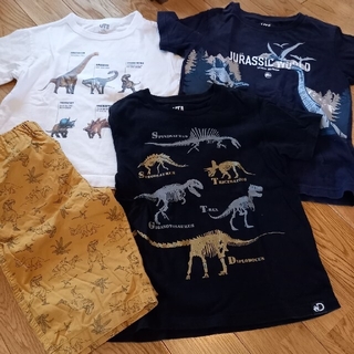 ユニクロ(UNIQLO)のユニクロ　恐竜Tシャツ　リラコ　120(Tシャツ/カットソー)