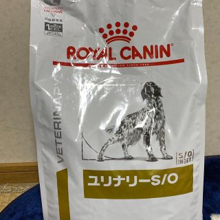 ペットフード　犬用(ペットフード)