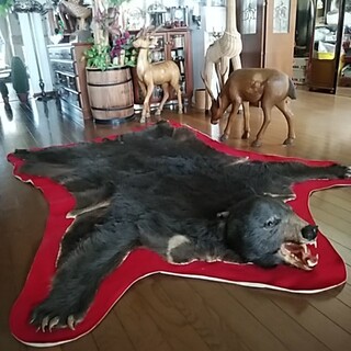 熊 剥製の通販 34点 | フリマアプリ ラクマ