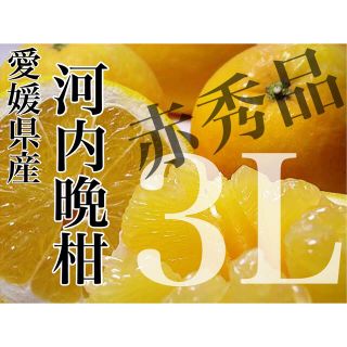 文旦の次はコレ！！【河内晩柑】愛媛県産 赤秀品 3L 7.5kg(フルーツ)