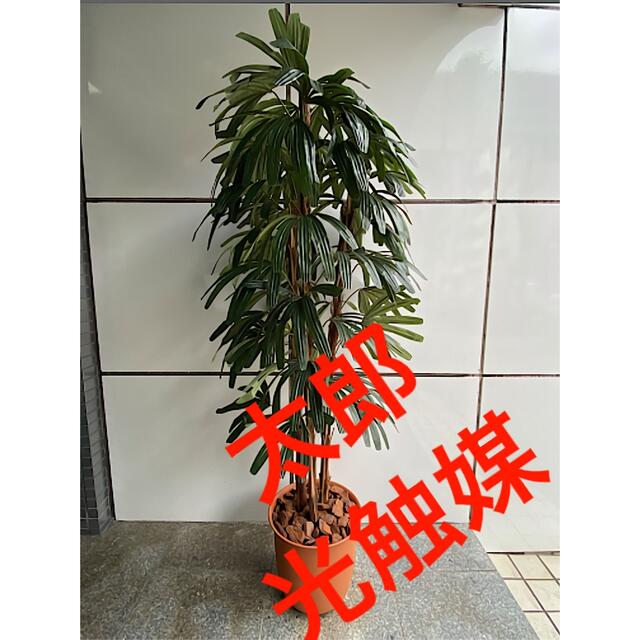 光触媒 人工観葉植物 ウォールグリーン フェイクグリーン ボタニカル