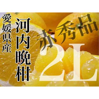 文旦の次はコレ！！【河内晩柑】愛媛県産 赤秀品 2L 7.5kg(フルーツ)