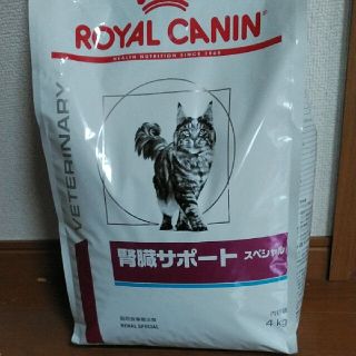 ロイヤルカナン(ROYAL CANIN)の最終爆弾値下げ!!（６袋）ROYAL  CANIN  スペシャル４kg(猫)