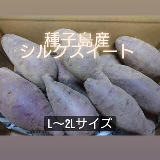 種子島産 シルクスイート L～2L 5キロ(野菜)