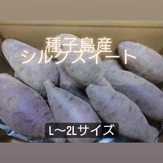 種子島産シルクスイート L～2L 5キロ(野菜)
