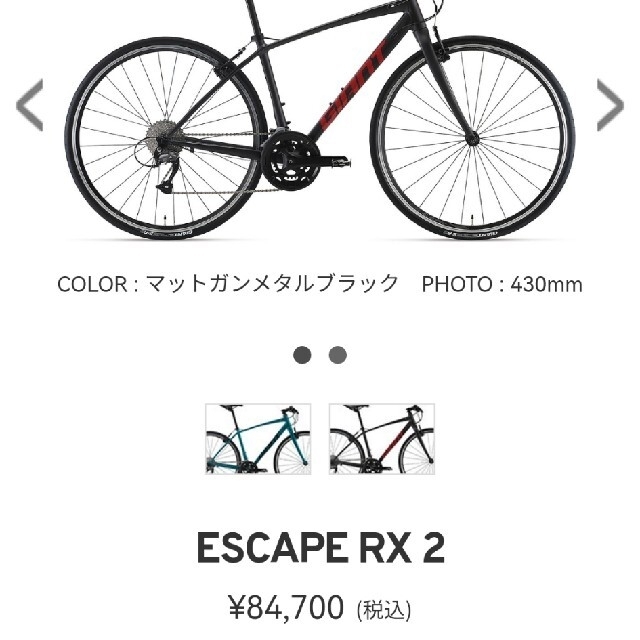 Giant(ジャイアント)のGiant Escape RX2 2021年モデル TTバー付 スポーツ/アウトドアの自転車(自転車本体)の商品写真