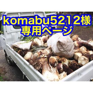 komabu5212様専用ページです(野菜)