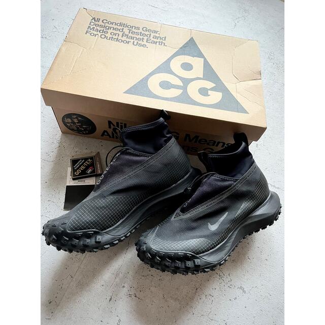 NIKE ACG MOUNTAIN FLY GIRE TEX マウンテンフライ