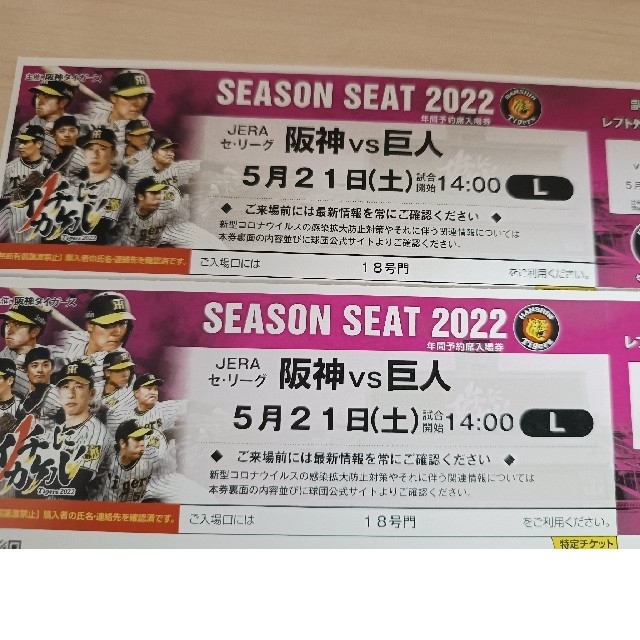 阪神 VS 巨人レフト5/21外野指定席13段2席
