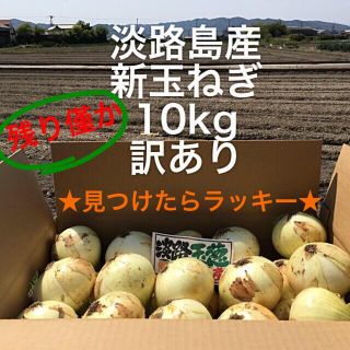 ★見つけたらラッキー★ 淡路島産　新玉ねぎ　訳あり　10kg 淡路たまねぎ(野菜)