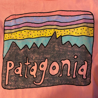 パタゴニア(patagonia)のsana様専用　パタゴニア　tシャツ(Tシャツ/カットソー)