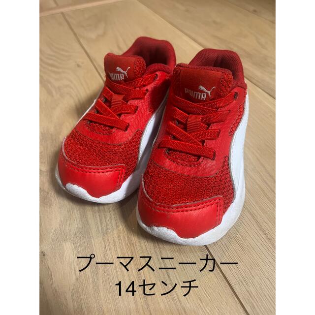 PUMA(プーマ)のプーマスニーカー　size14センチ キッズ/ベビー/マタニティのキッズ靴/シューズ(15cm~)(スニーカー)の商品写真