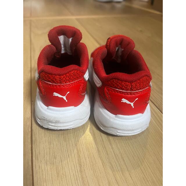 PUMA(プーマ)のプーマスニーカー　size14センチ キッズ/ベビー/マタニティのキッズ靴/シューズ(15cm~)(スニーカー)の商品写真