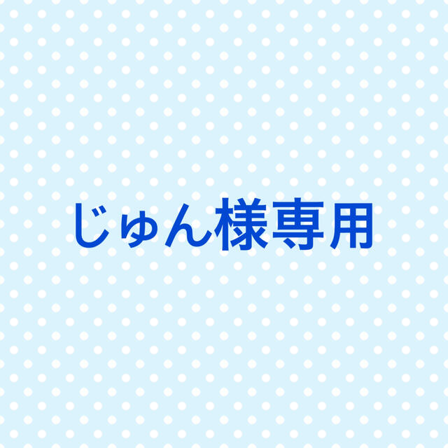 じゅん様専用ページ その他のその他(その他)の商品写真