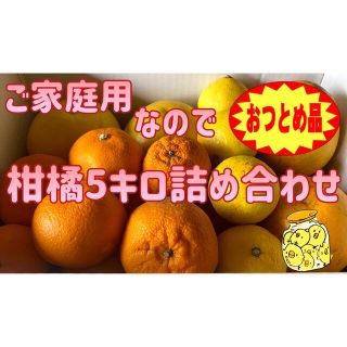 ▲本州、四国、九州のみ発送可▲『おつとめ品-愛媛産-柑橘5キロ詰め合わせ』(フルーツ)