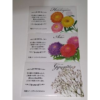 花の種 3種(その他)