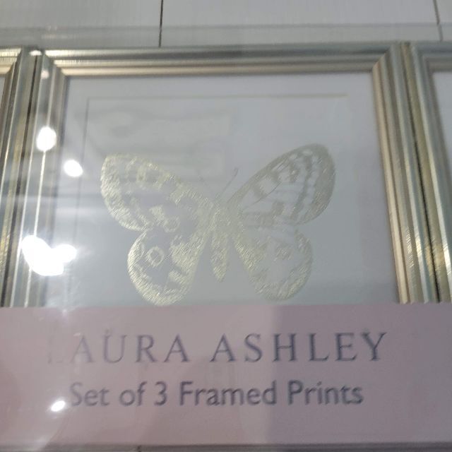 LAURA ASHLEY - ローラアシュレイ バタフライ 壁掛けフレームプリント