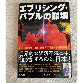 エブリシング・バブルの崩壊(ビジネス/経済)