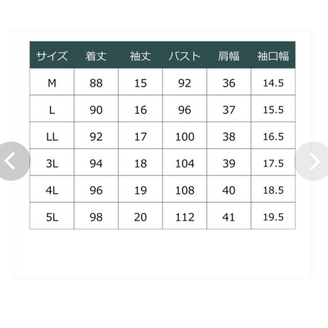 ルコックスポルティフゴルフウエア　3Ｌ　大きいサイズ