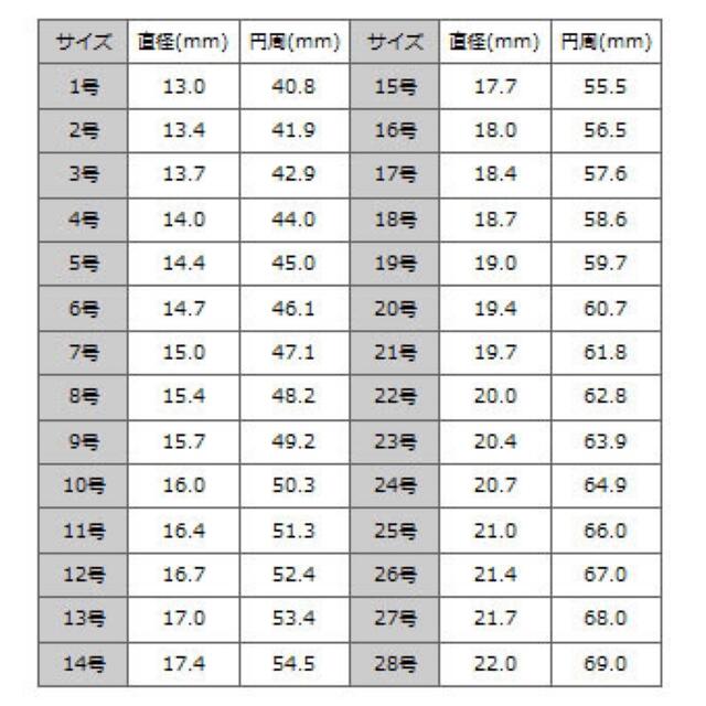 ホースシューリング / テンダーロイン 好きに 新品 未使用 送料込み メンズのアクセサリー(リング(指輪))の商品写真