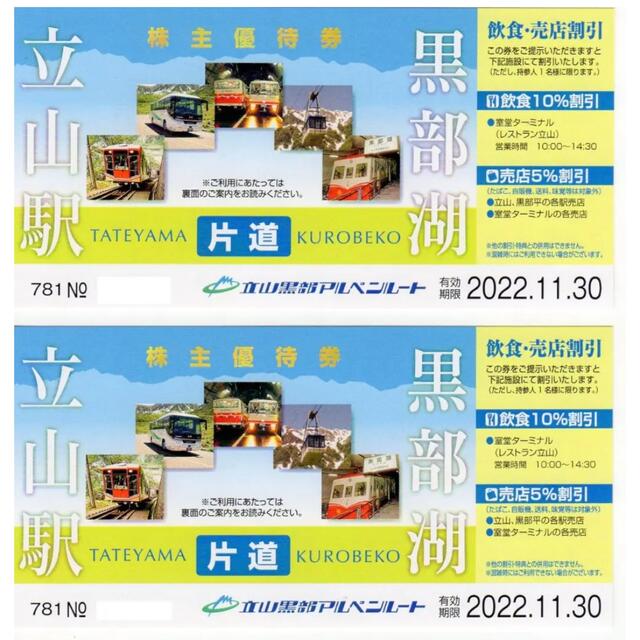 高品質セール 立山黒部アルペンルート 立山駅〜黒部湖 株主優待券 2枚