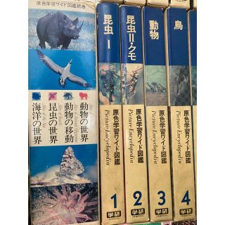 原色学習ワイド図鑑全20巻＋続巻4巻セット