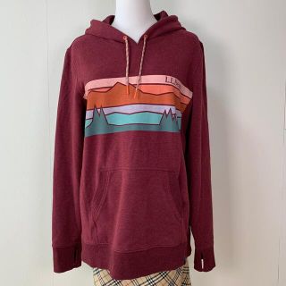 エルエルビーン(L.L.Bean)の【317】エルエルビーン L.L.Bean パーカー  ロング丈　M(パーカー)