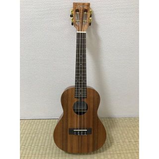 ELVIS KOA series  K100C  Slot Head Speci(コンサートウクレレ)