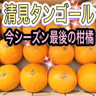 清見オレンジ  木なり完熟   1kg以上(フルーツ)