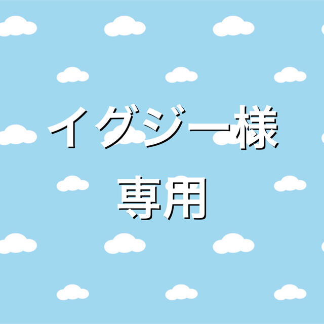 45g60g 80g 各3個計9個 タングステン タイラバヘッド - ルアー用品