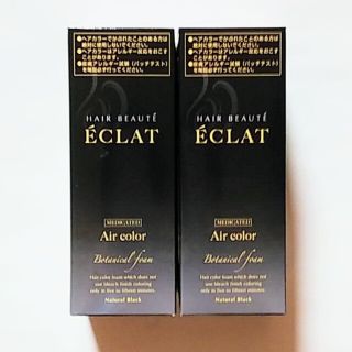 ヘアボーテ エクラ ボタニカルエアカラーフォーム ナチュラルブラック 80g×2(白髪染め)