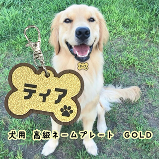 【送料・名入れ無料】愛犬高級ネームプレートGold ペット ドック 犬 (犬)