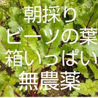 まー様専用ページ(野菜)