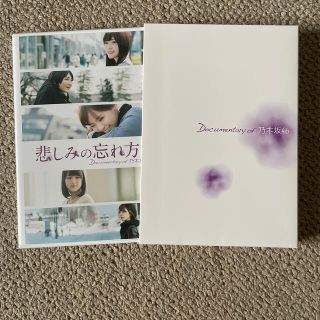 ノギザカフォーティーシックス(乃木坂46)の悲しみの忘れ方　Documentary　of　乃木坂46　DVD　スペシャル・エ(日本映画)