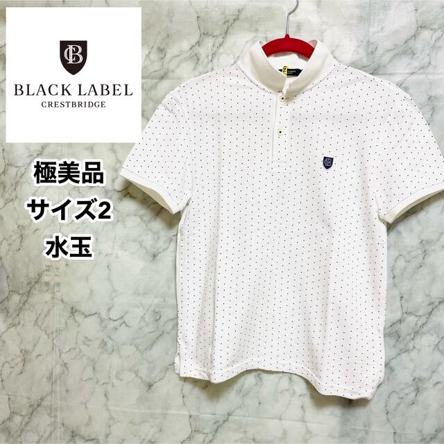 BLACK LABEL CRESTBRIDGE(ブラックレーベルクレストブリッジ)の最終セール:極美品　BLACK LABEL ポロシャツサイズ2(M) メンズのトップス(ポロシャツ)の商品写真