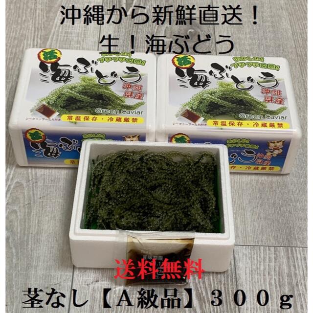 お気にいる 生 海ぶどうドーン と1kg A級品 タレ付き 生産者が送る“鮮度抜群”海ぶどう