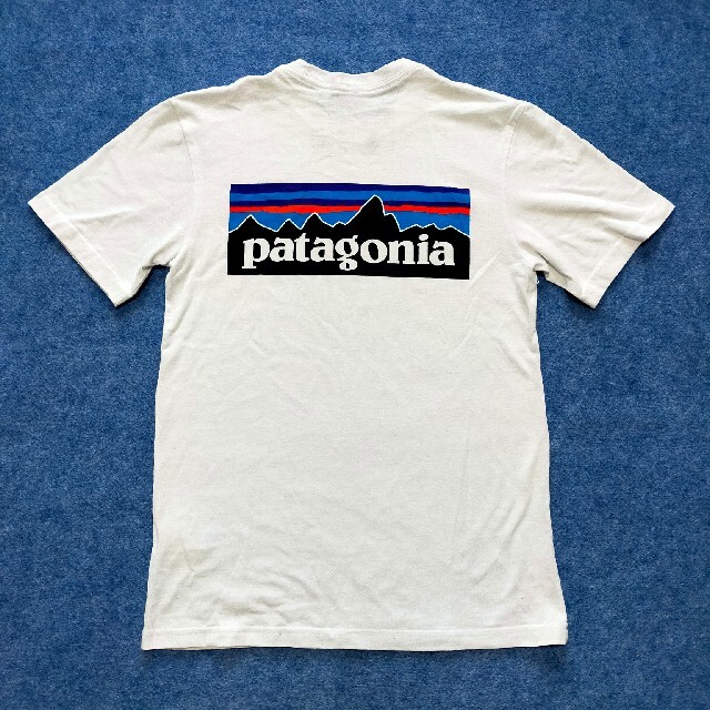 patagonia(パタゴニア)のkshh様専用 レディースのトップス(Tシャツ(半袖/袖なし))の商品写真