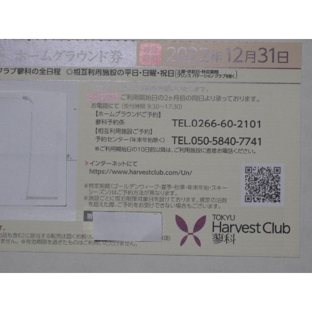☆江戸時代 七宝文青貝螺鈿金輪寺茶器 超細密螺鈿細工 天然木漆 ☆江戸時代 七宝文青貝螺鈿金輪寺茶器 超細密螺鈿細工 天然木漆
