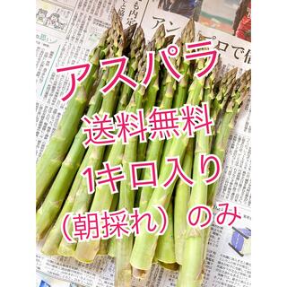 朝採れ会津坂下町産曲がりアスパラ1キロ(野菜)